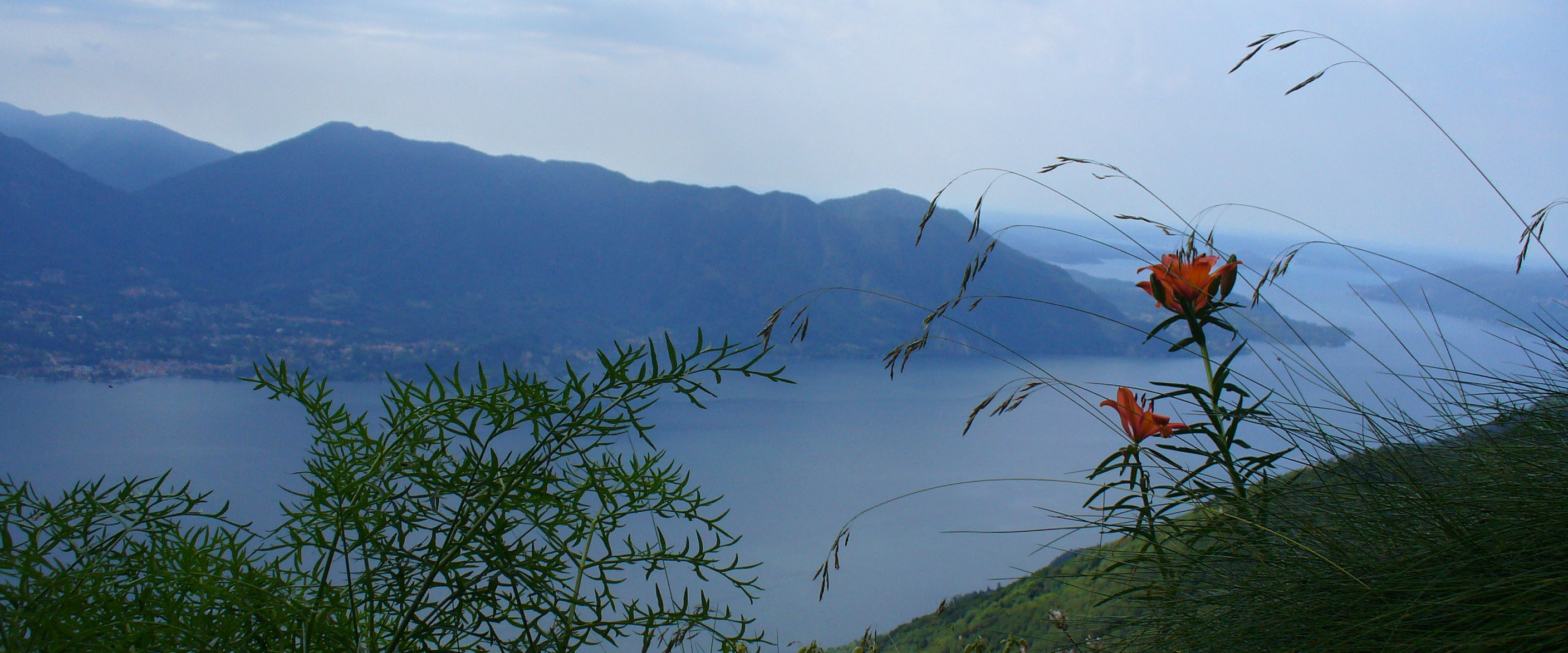 Lago Maggiore - one of the best studied European lakes